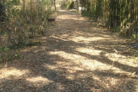 Земельный участок в Сурине, Таиланд 6400м2  № 148092 - фото 4