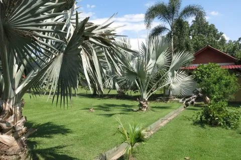 Вилла в Ханг Донге, Таиланд с 10 спальнями № 167576 - фото 2