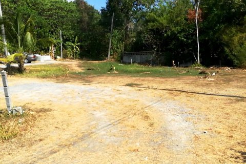 Земельный участок в Пхукете, Таиланд 144м2 № 167573 - фото 6