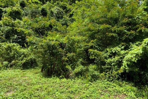 Земельный участок в Пхукете, Таиланд 5416м2  № 153165 - фото 3