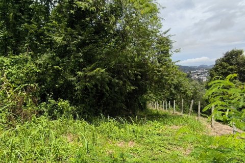 Земельный участок в Пхукете, Таиланд 5416м2  № 153165 - фото 4