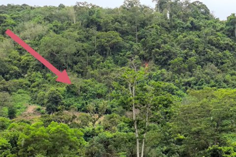 Земельный участок в Пхукете, Таиланд 5416м2  № 153165 - фото 2