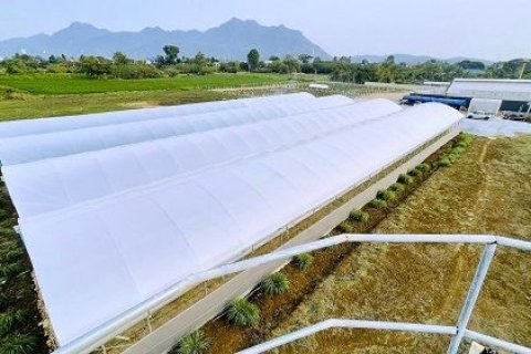 Земельный участок в Пак Чонге, Таиланд 41600м2  № 173277 - фото 4