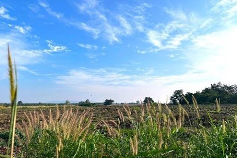 Земельный участок в Пак Чонге, Таиланд 41600м2  № 173277 - фото 5