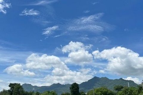 Земельный участок в Пак Чонге, Таиланд 41600м2  № 173277 - фото 3