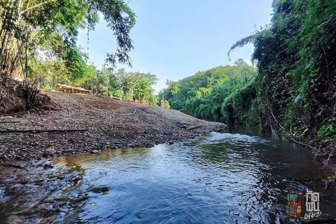 Land in Nan, Thailand 28800 sq.m. № 173274