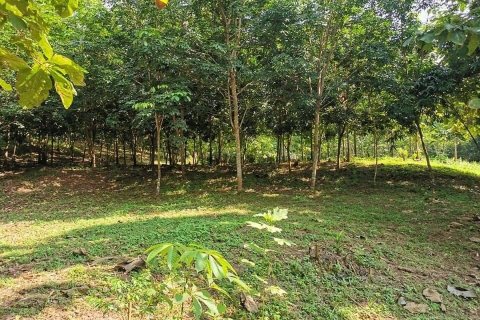 Land in Nan, Thailand 28800 sq.m. № 173274 - photo 5
