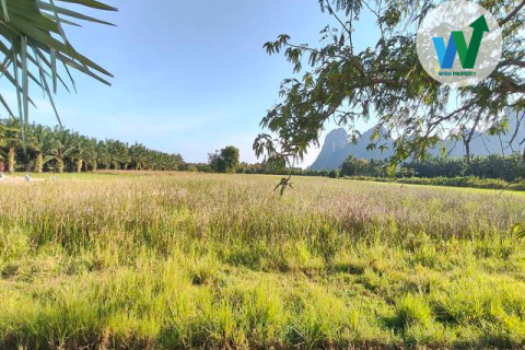 Land in Phatthalung, Thailand 32 sq.m. № 173275 - photo 2