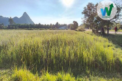 Land in Phatthalung, Thailand 32 sq.m. № 173275 - photo 6