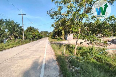 Land in Phatthalung, Thailand 32 sq.m. № 173275 - photo 5