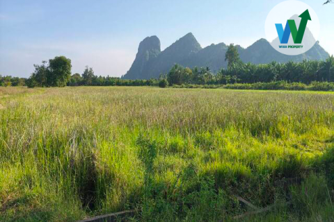 Land in Phatthalung, Thailand 32 sq.m. № 173275 - photo 4