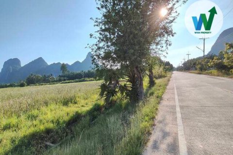 Land in Phatthalung, Thailand 32 sq.m. № 173275 - photo 3