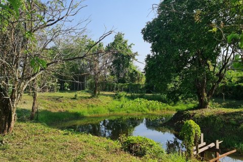 Земельный участок в Чианграе, Таиланд 1600м2  № 153042 - фото 1