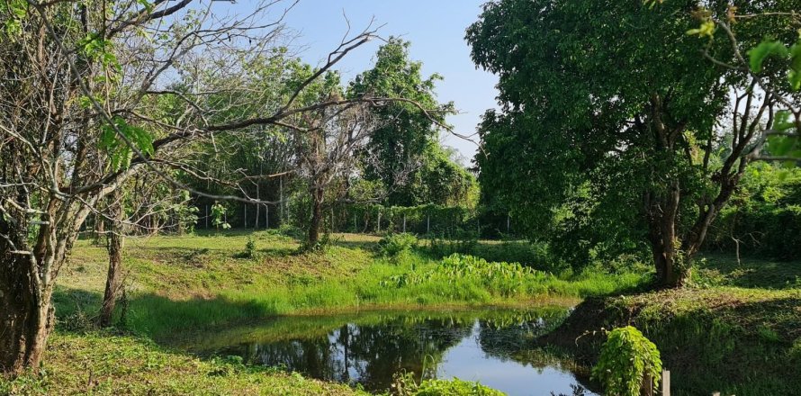 Земельный участок в Чианграе, Таиланд 1600м2  № 153042