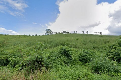 Terrain à Chiang Rai, Thaïlande № 134523 - photo 3