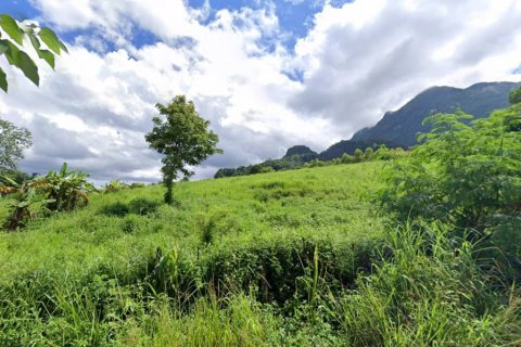 Terrain à Chiang Rai, Thaïlande № 134523 - photo 1