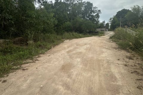 Дом в Сураттхани, Таиланд с 2 спальнями  № 151077 - фото 6