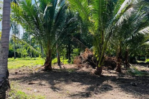Земельный участок в Самуи, Таиланд  № 151074 - фото 2