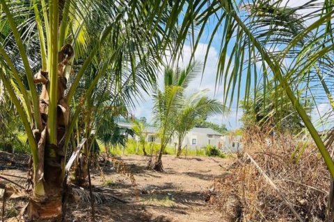 Земельный участок в Самуи, Таиланд  № 151074 - фото 3