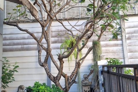 Таунхаус в Банг Кхене, Бангкок, Таиланд с 3 спальнями  № 163507 - фото 2