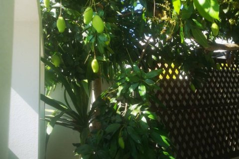 Вилла в Хуа Хине, Таиланд с 3 спальнями  № 156286 - фото 6