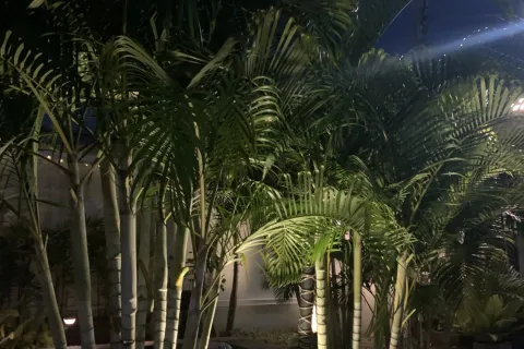 Maison à Nakhon Ratchasima, Thaïlande 3 chambres № 151797 - photo 12