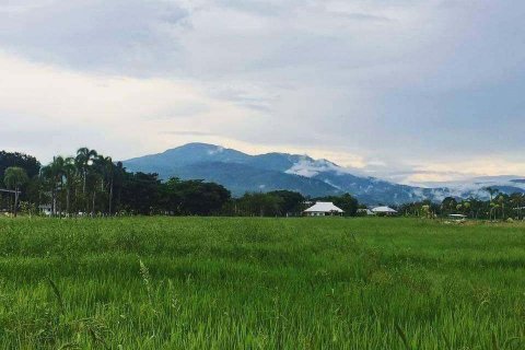 Дом в Мае Риме, Таиланд с 3 спальнями № 162033 - фото 17