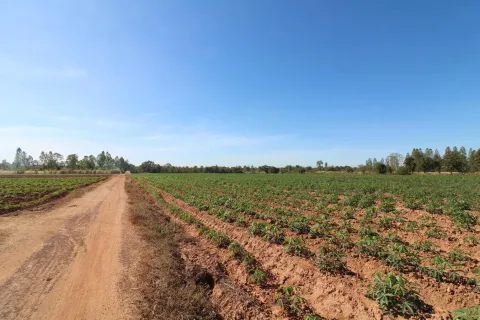 Terrain à Udon Thani, Thaïlande 48000 m2 № 162099 - photo 7