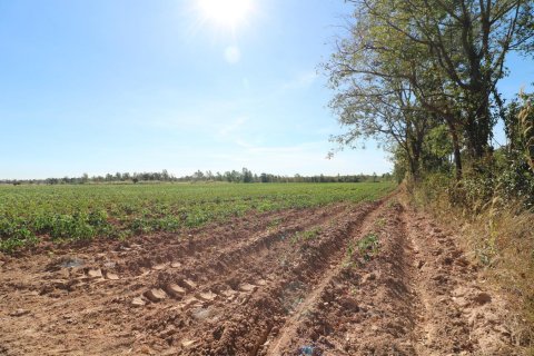 Terrain à Udon Thani, Thaïlande 48000 m2 № 162099 - photo 13
