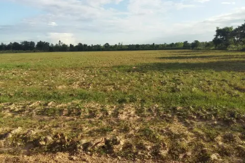 Terrain à Udon Thani, Thaïlande 48000 m2 № 162099 - photo 3