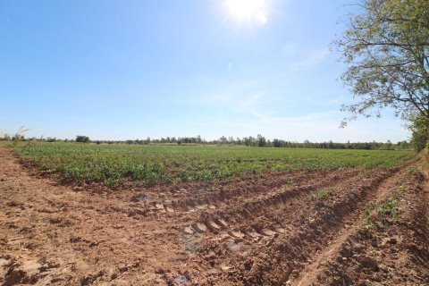 Terrain à Udon Thani, Thaïlande 48000 m2 № 162099 - photo 12