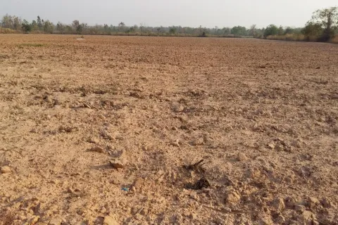 Terrain à Udon Thani, Thaïlande 48000 m2 № 162099 - photo 4