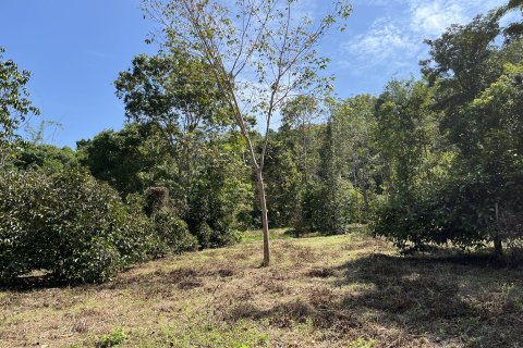 Terrain à Songkhla, Thaïlande 38400 m2 № 162098 - photo 4