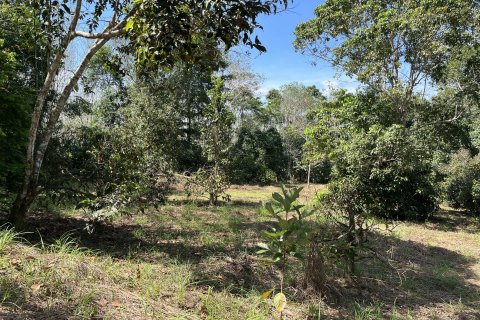 Terrain à Songkhla, Thaïlande 38400 m2 № 162098 - photo 6