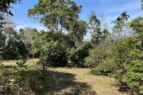 Terrain à Songkhla, Thaïlande 38400 m2 № 162098 - photo 5