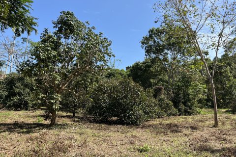 Terrain à Songkhla, Thaïlande 38400 m2 № 162098 - photo 7