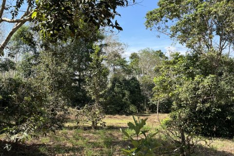 Terrain à Songkhla, Thaïlande 38400 m2 № 162098 - photo 3