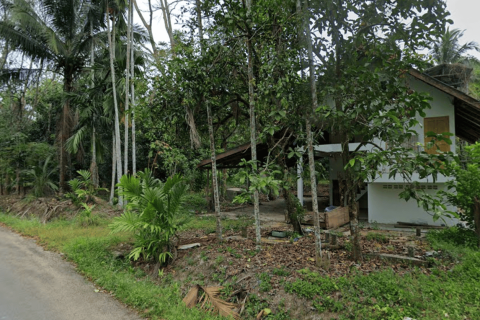 Terrain à Songkhla, Thaïlande 38400 m2 № 162098 - photo 2