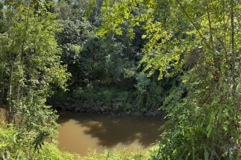 Terrain à Songkhla, Thaïlande 38400 m2 № 162098 - photo 8