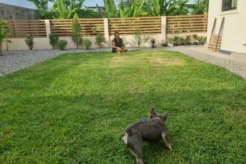 House in Chiang Mai, Thailand 4 bedrooms № 150372 - photo 11