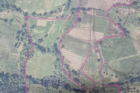 Terrain à Mae On, Thaïlande 44800 m2 № 144801 - photo 4