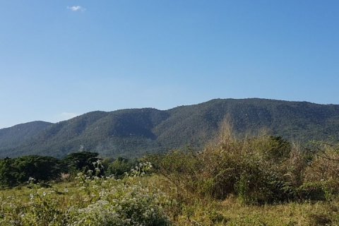 Terrain à Mae On, Thaïlande 44800 m2 № 144801 - photo 2