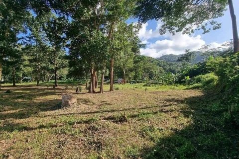 Land in Kathu, Thailand 3200 sq.m. № 169145 - photo 5