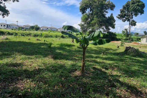 Land in Kathu, Thailand 3200 sq.m. № 169145 - photo 4