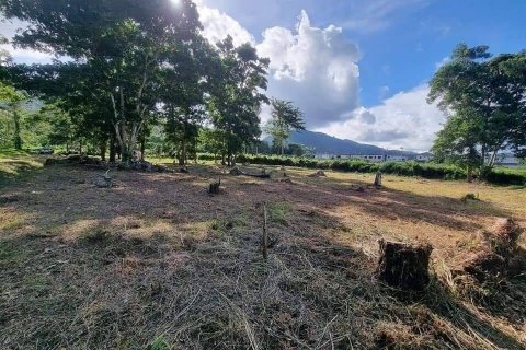 Land in Kathu, Thailand 3200 sq.m. № 169145 - photo 3