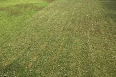 Land in Phuket, Thailand 3470 sq.m. № 169149 - photo 7