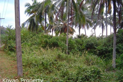 Land in Phang Nga, Thailand 3040 sq.m. № 144822 - photo 4