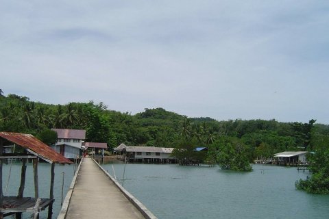 Land in Phang Nga, Thailand 3040 sq.m. № 144822 - photo 9