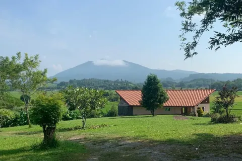 Maison à Chiang Rai, Thaïlande 5 chambres № 167678 - photo 15