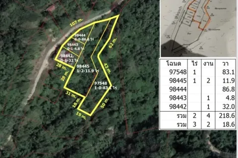 Земельный участок в Пхукете, Таиланд 5672м2  № 167677 - фото 6